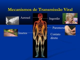 Mecanismos de Transmissão ViralMecanismos de Transmissão Viral
Aerosol
Parenteral
Insetos Contato
direto
Ingestão
 