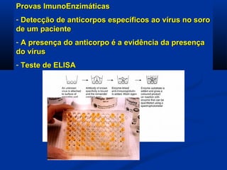 Provas ImunoEnzimáticasProvas ImunoEnzimáticas
- Detecção de anticorpos específicos ao vírus no soroDetecção de anticorpos específicos ao vírus no soro
de um pacientede um paciente
- A presença do anticorpo é a evidência da presençaA presença do anticorpo é a evidência da presença
do vírusdo vírus
- Teste de ELISATeste de ELISA
 