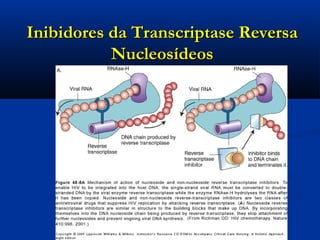 Inibidores da Transcriptase ReversaInibidores da Transcriptase Reversa
NucleosídeosNucleosídeos
 