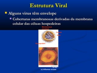 Estrutura ViralEstrutura Viral
 Alguns virus têm envelopeAlguns virus têm envelope
 Coberturas membranosas derivadas da membranaCoberturas membranosas derivadas da membrana
celular das céluas hospedeirascelular das céluas hospedeiras
80–200 nm (diameter)
50 nm
(c) Influenza viruses
RNA
Glycoprotein
Membranous
envelope
Capsid
 
