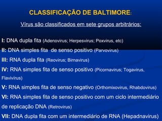 CLASSIFICAÇÃO DE BALTIMORE:
Vírus são classificados em sete grupos arbitrários:
I: DNA dupla fita (Adenovirus; Herpesvirus; Poxvirus, etc)
II: DNA simples fita de senso positivo (Parvovirus)
III: RNA dupla fita (Reovirus; Birnavirus)
IV: RNA simples fita de senso positivo (Picornavirus; Togavirus,
Flavivírus)
V: RNA simples fita de senso negativo (Orthomixovirus, Rhabdovirus)
VI: RNA simples fita de senso positivo com um ciclo intermediário
de replicação DNA (Retrovirus)
VII: DNA dupla fita com um intermediário de RNA (Hepadnavirus)
 