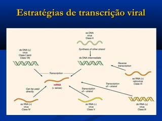 Estratégias de transcrição viralEstratégias de transcrição viral
 