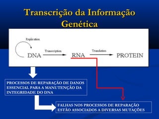 Transcrição da InformaçãoTranscrição da Informação
GenéticaGenética
PROCESSOS DE REPARAÇÃO DE DANOS
ESSENCIAL PARA A MANUTENÇÃO DA
INTEGRIDADE DO DNA
FALHAS NOS PROCESSOS DE REPARAÇÃO
ESTÃO ASSOCIADOS A DIVERSAS MUTAÇÕES
 