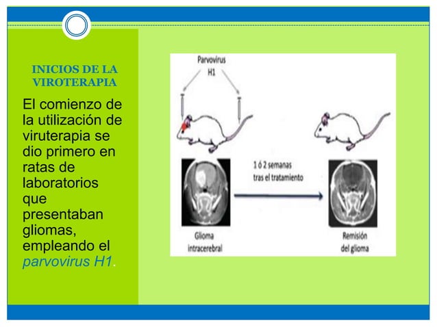 Viroterapia en la cura del cáncer up Med PPT