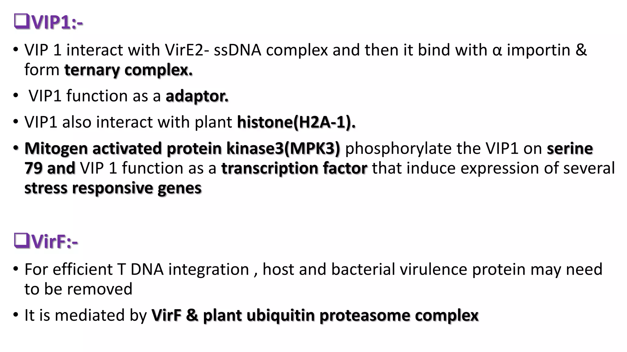 VIP1:-
• VIP 1 interact with VirE2- ssDNA complex and then it bind with α importin &
form ternary complex.
• VIP1 function as a adaptor.
• VIP1 also interact with plant histone(H2A-1).
• Mitogen activated protein kinase3(MPK3) phosphorylate the VIP1 on serine
79 and VIP 1 function as a transcription factor that induce expression of several
stress responsive genes
VirF:-
• For efficient T DNA integration , host and bacterial virulence protein may need
to be removed
• It is mediated by VirF & plant ubiquitin proteasome complex
 