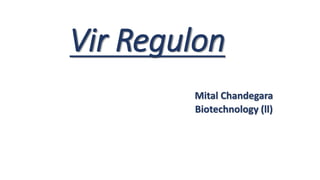 Vir Regulon
Mital Chandegara
Biotechnology (ll)
 