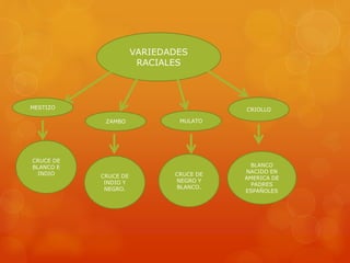 VARIEDADES
RACIALES
MESTIZO
ZAMBO MULATO
CRIOLLO
CRUCE DE
BLANCO E
INDIO CRUCE DE
NEGRO Y
BLANCO.
CRUCE DE
INDIO Y
NEGRO.
BLANCO
NACIDO EN
AMERICA DE
PADRES
ESPAÑOLES
 