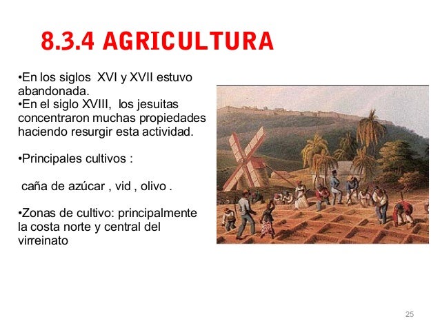 Virreinatopowerpoint virreinato