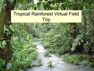 Tropical Rainforest Virtual Field
Trip
Tropical Rainforest Virtual Field
Trip
 