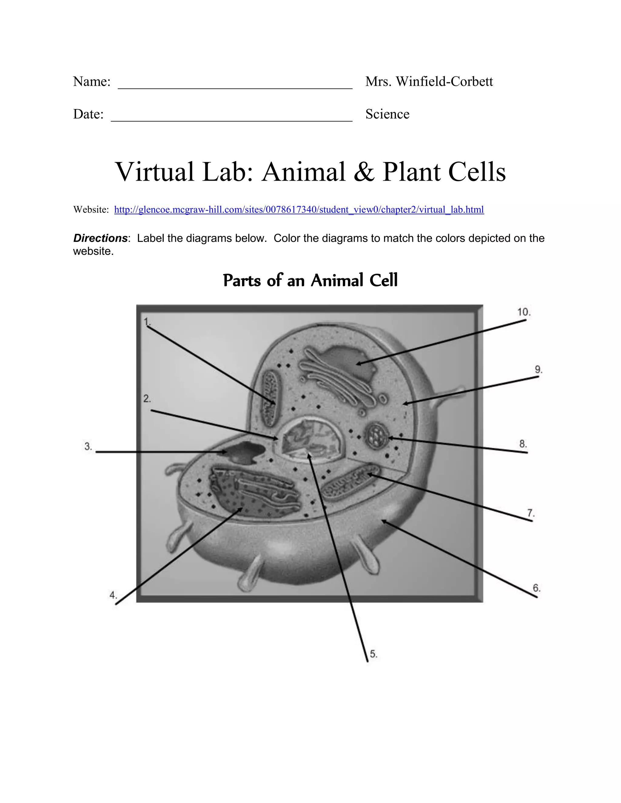Name: _________________________________ Mrs. Winfield-Corbett
Date: __________________________________ Science
Virtual Lab: Animal & Plant Cells
Website: http://glencoe.mcgraw-hill.com/sites/0078617340/student_view0/chapter2/virtual_lab.html
Directions: Label the diagrams below. Color the diagrams to match the colors depicted on the
website.
Parts of an Animal Cell