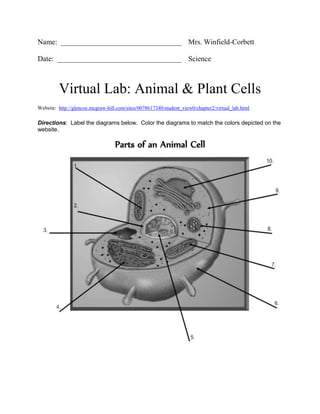 Name: _________________________________ Mrs. Winfield-Corbett
Date: __________________________________ Science
Virtual Lab: Animal & Plant Cells
Website: http://glencoe.mcgraw-hill.com/sites/0078617340/student_view0/chapter2/virtual_lab.html
Directions: Label the diagrams below. Color the diagrams to match the colors depicted on the
website.
Parts of an Animal Cell
 