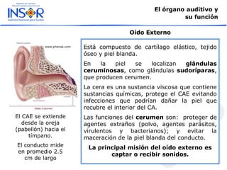 El órgano auditivo y
su función
Está compuesto de cartílago elástico, tejido
óseo y piel blanda.
En la piel se localizan glándulas
ceruminosas, como glándulas sudoríparas,
que producen cerumen.
La cera es una sustancia viscosa que contiene
sustancias químicas, protege el CAE evitando
infecciones que podrían dañar la piel que
recubre el interior del CA.
Las funciones del cerumen son: proteger de
agentes extraños (polvo, agentes parásitos,
virulentos y bacterianos); y evitar la
maceración de la piel blanda del conducto.
La principal misión del oído externo es
captar o recibir sonidos.
Oído Externo
www.phonak.com
El CAE se extiende
desde la oreja
(pabellón) hacia el
tímpano.
El conducto mide
en promedio 2.5
cm de largo
 