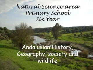 Natural Science area
  Primary School
      Six Year




 Andalusian History,
Geography, society and
       wildlife
 