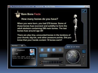 Virtual Astronaut   Bonesuponbones