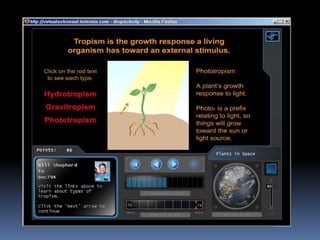 Virtual Astronaut   Plantsinspace