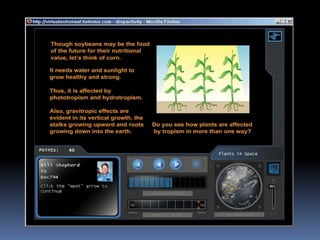 Virtual Astronaut   Plantsinspace