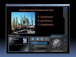 Virtual Astronaut   Plantsinspace