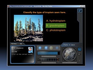 Virtual Astronaut   Plantsinspace
