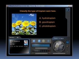 Virtual Astronaut   Plantsinspace