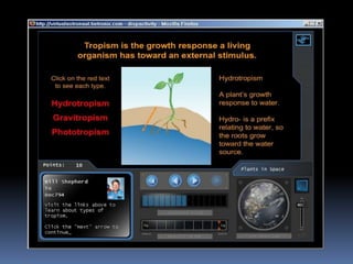 Virtual Astronaut   Plantsinspace
