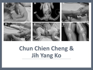 Chun Chien Cheng &
Jih Yang Ko
 