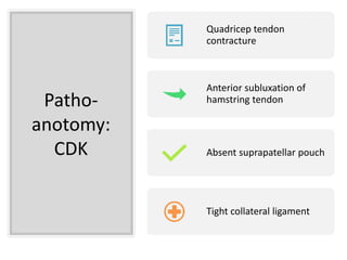 Patho-
anotomy:
CDK
Quadricep tendon
contracture
Anterior subluxation of
hamstring tendon
Absent suprapatellar pouch
Tight collateral ligament
 
