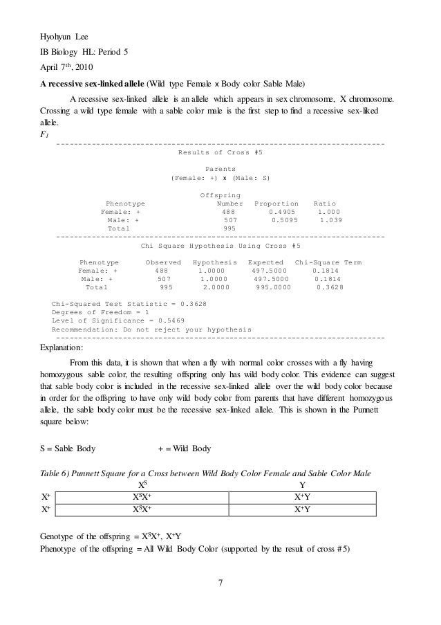 Fruit fly lab reports