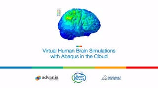 Virtual Human Brain Simulations
with Abaqus in the Cloud
 