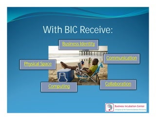 Virtual Incubator3 [Compatibility Mode]