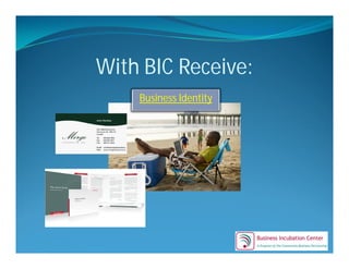 Virtual Incubator3 [Compatibility Mode]