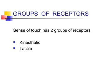 GROUPS OF RECEPTORS
Sense of touch has 2 groups of receptors
 Kinesthetic
 Tactile
 