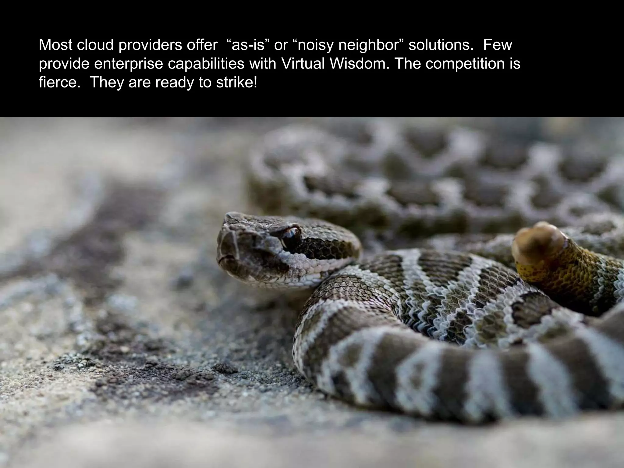 Most cloud providers offer “as-is” or “noisy neighbor” solutions. Few
provide enterprise capabilities with Virtual Wisdom. The competition is
fierce. They are ready to strike!