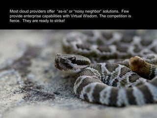 Most cloud providers offer “as-is” or “noisy neighbor” solutions. Few
provide enterprise capabilities with Virtual Wisdom. The competition is
fierce. They are ready to strike!
 