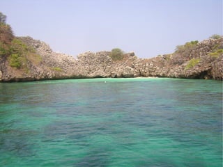 Virtualisierung 2008/2009 - eine Standorbestimmung