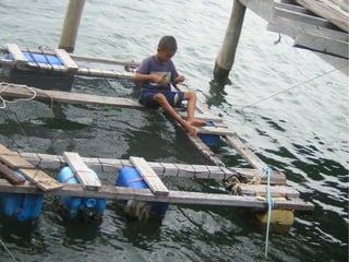 Virtualisierung 2008/2009 - eine Standorbestimmung