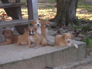 Virtualisierung 2008/2009 - eine Standorbestimmung