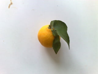 Virtualisierung 2008/2009 - eine Standorbestimmung