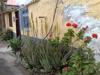 Virtualisierung 2008/2009 - eine Standorbestimmung