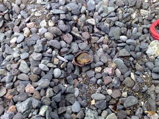 Virtualisierung 2008/2009 - eine Standorbestimmung