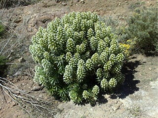 Virtualisierung 2008/2009 - eine Standorbestimmung
