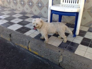 Virtualisierung 2008/2009 - eine Standorbestimmung