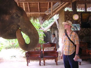 Virtualisierung 2008/2009 - eine Standorbestimmung