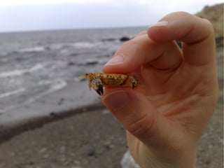 Virtualisierung 2008/2009 - eine Standorbestimmung