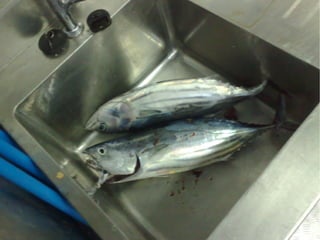 Virtualisierung 2008/2009 - eine Standorbestimmung