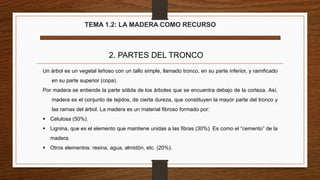 TEMA 1.2: LA MADERA COMO RECURSO
2. PARTES DEL TRONCO
Un árbol es un vegetal leñoso con un tallo simple, llamado tronco, en su parte inferior, y ramificado
en su parte superior (copa).
Por madera se entiende la parte sólida de los árboles que se encuentra debajo de la corteza. Así,
madera es el conjunto de tejidos, de cierta dureza, que constituyen la mayor parte del tronco y
las ramas del árbol. La madera es un material fibroso formado por:
 Celulosa (50%).
 Lignina, que es el elemento que mantiene unidas a las fibras (30%). Es como el “cemento” de la
madera.
 Otros elementos: resina, agua, almidón, etc. (20%).
 