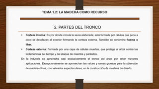 TEMA 1.2: LA MADERA COMO RECURSO
2. PARTES DEL TRONCO
 Corteza interna: Es por donde circula la savia elaborada; está formada por células que poco a
poco se desplazan al exterior formando la corteza externa. También se denomina floema o
líber.
 Corteza externa: Formada por una capa de células muertas, que protege al árbol contra las
inclemencias del tiempo y del ataque de insectos y parásitos.
En la industria se aprovecha casi exclusivamente el tronco del árbol por tener mayores
aplicaciones. Excepcionalmente se aprovechan las raíces y ramas gruesas para la obtención
de maderas finas, con veteados espectaculares, en la construcción de muebles de diseño.
 