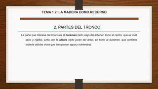 TEMA 1.2: LA MADERA COMO RECURSO
2. PARTES DEL TRONCO
La parte que interesa del tronco es el duramen (leño viejo del árbol en torno al centro, que es más
seco y rígido), junto con la albura (leño joven del árbol, en torno al duramen, que contiene
todavía células vivas que transportan agua y nutrientes).
 