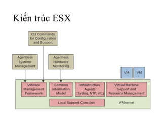 Kiến trúc ESX 
 