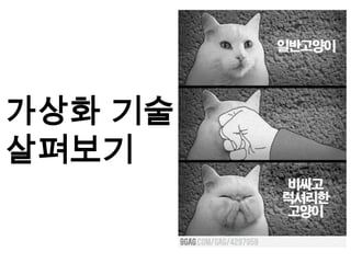 가상화 기술
살펴보기
 