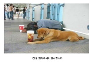 긴 글 읽어주셔서 감사합니다.
 